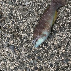 安定の人の多さ