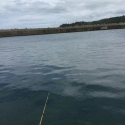 渋い渋いデイアジング