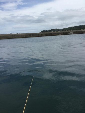 渋い渋いデイアジング