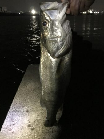 ナナマルまであと少し