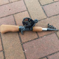 今日もサバは元気でした。