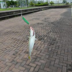 雲の切れ間の30分