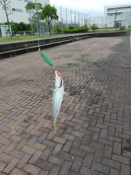 雲の切れ間の30分