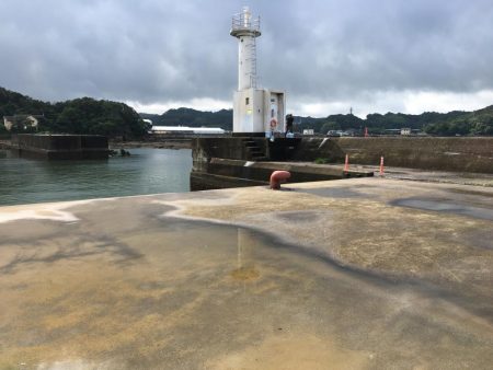 コアジ35匹、コサバ23匹