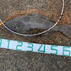 ビギナーが子座布団ＧＥＴ