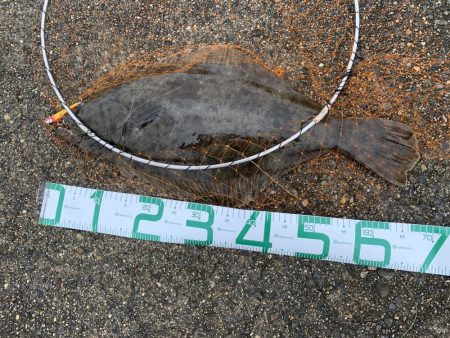 ビギナーが子座布団ＧＥＴ