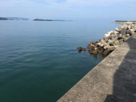 アジ5匹、ガシラ3匹