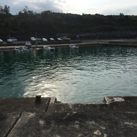 アジ3匹、コサバ26匹