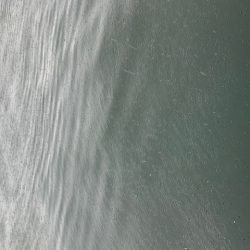 大雨の後は、、、