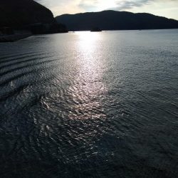 もう大きいのはいないかな？