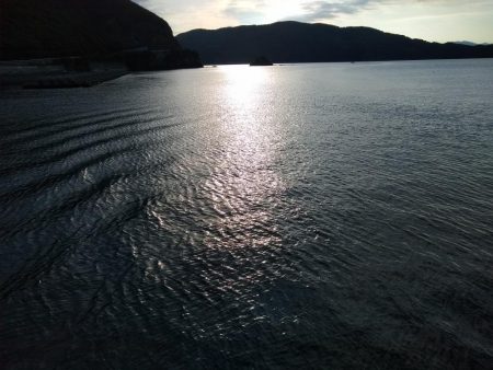 もう大きいのはいないかな？