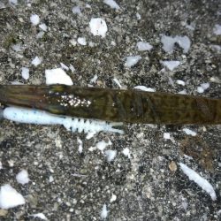 平日休暇を利用して