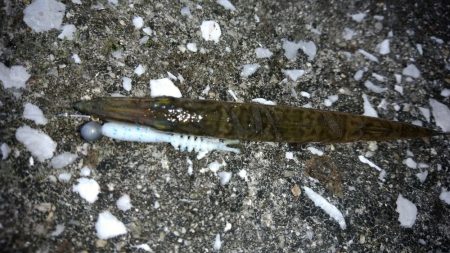 平日休暇を利用して