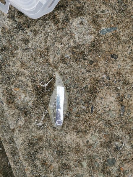 なんとか初ツバスゲット