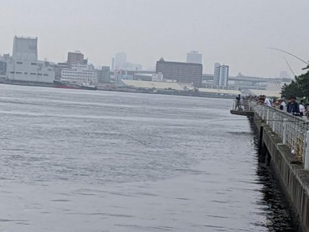 まだまだ一口サイズ