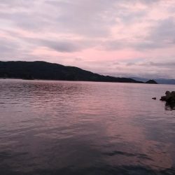 キロはないけど