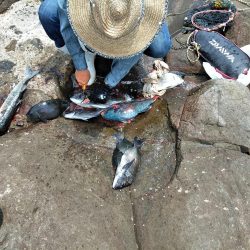 梅雨チヌ・・・