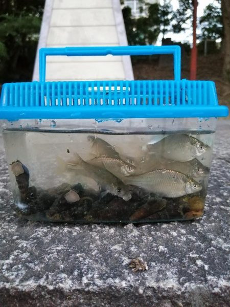 今日も子供と！