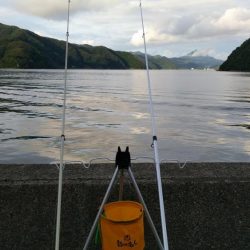 白杉でマダイとシロギス　ウミケムシ対策仕掛け