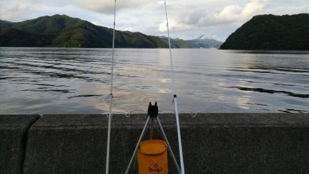 白杉でマダイとシロギス　ウミケムシ対策仕掛け