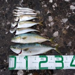 雨のショアジギ