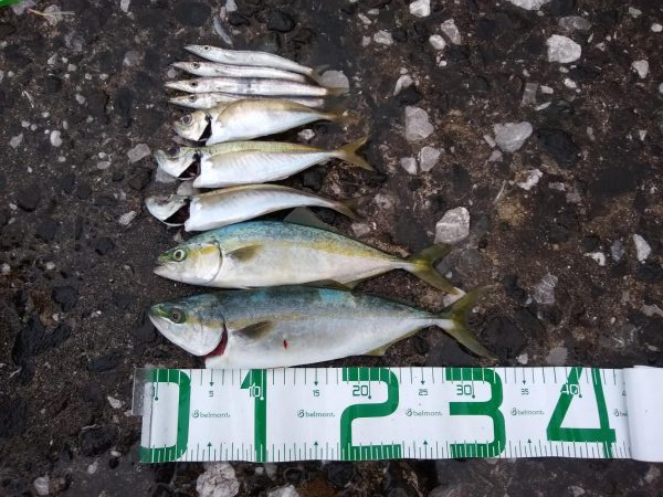 雨のショアジギ