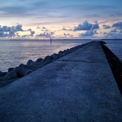 早朝ギンガメアジ