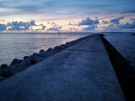 早朝ギンガメアジ