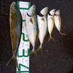 雨の中がんばったよ