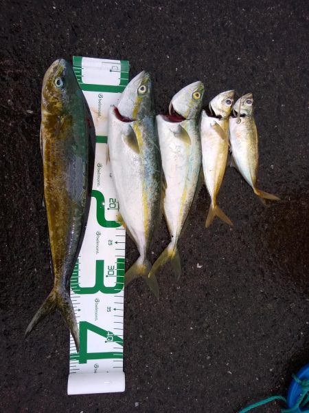 雨の中がんばったよ