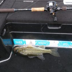 エビモパターン