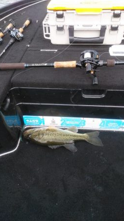 エビモパターン