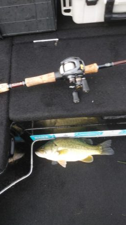 続エビモパターン