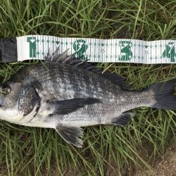 デイトップチニング!