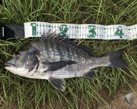 デイトップチニング!