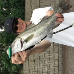 長崎 大村市周辺 チヌ、シーバス トップルアーゲーム