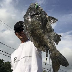 チニングゲーム 長崎 大村市周辺