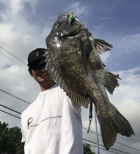 チニングゲーム 長崎 大村市周辺