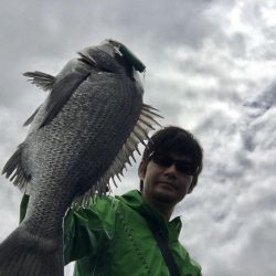 チニングゲーム