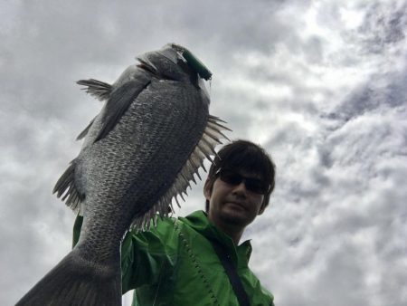 チニングゲーム