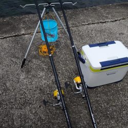 雨後のキスは不調