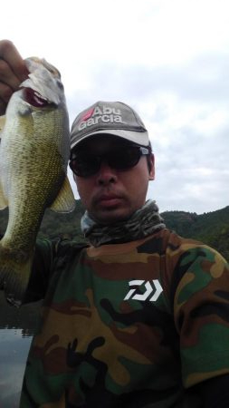 コンディション良好