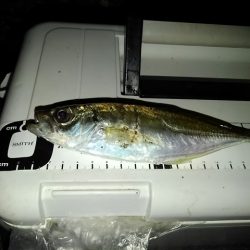 フロートゲーム