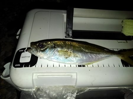 フロートゲーム