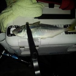 フロートゲーム