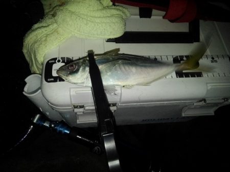 フロートゲーム