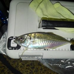 フロートゲーム