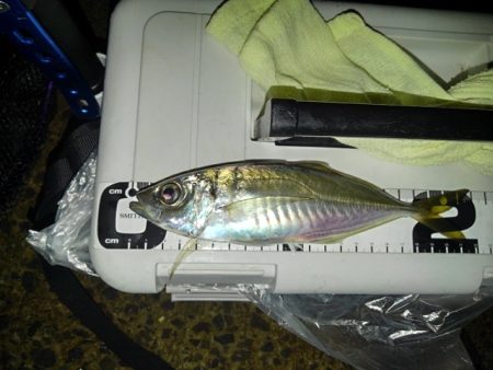 フロートゲーム