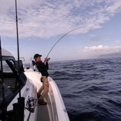 遊漁船SOUTH7/30釣果