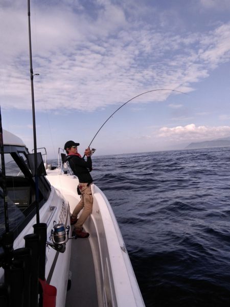 遊漁船SOUTH7/30釣果